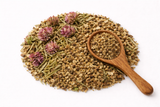 Magical Teas